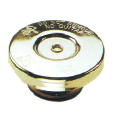 Tampa Radiador Gm Caravan 1985 a 1992 - 111715 - 24017