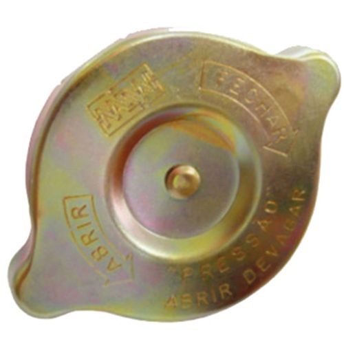 Tampa Radiador Caminhoes D60 1964 a 1984 - 132174 - 24014