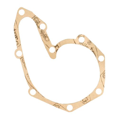 Bomba Água Renault Scenic 1998 a 2009 - 130737 - 704001