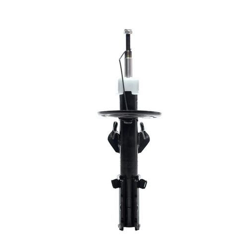 AMORTECEDOR CAMINHAO FIT D 03/ GP35943M PAR FIT 03/08 LD D Cofap  Par