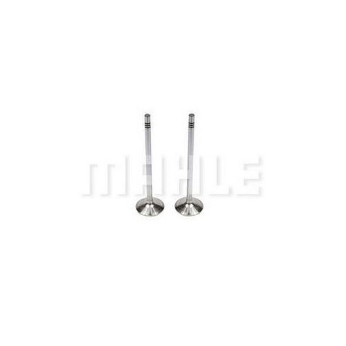 VALVULAS DE ADMISSAO -  MAN D08 34 - 4 CILS / D08 B36 - 6 CILS - MAHLE