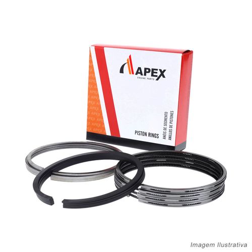 ANEL DE MOTOR - BMW 4.4L V8 540/740/840 APOS 1996/X5 APOS 2001 - APEX
