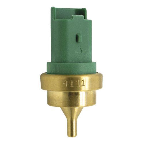 Cebolinha Temperatura C4 2004/2013 - 39050 - 4111